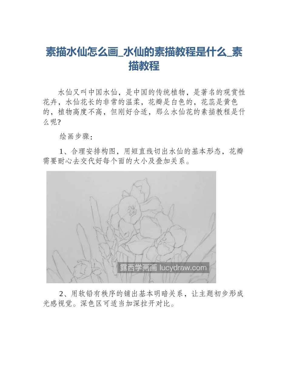 素描水仙怎么画_水仙的素描教程是什么_素描教程_第1页