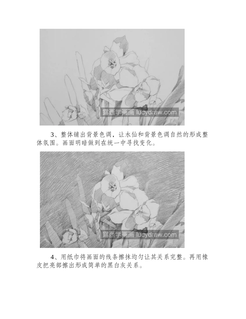 素描水仙怎么画_水仙的素描教程是什么_素描教程_第2页