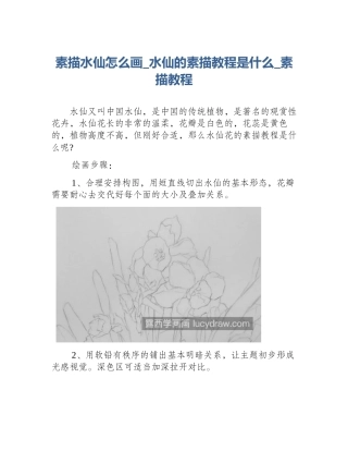 素描水仙怎么画_水仙的素描教程是什么_素描教程