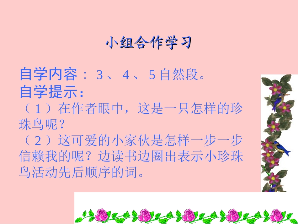 第二课时珍珠鸟1_第1页