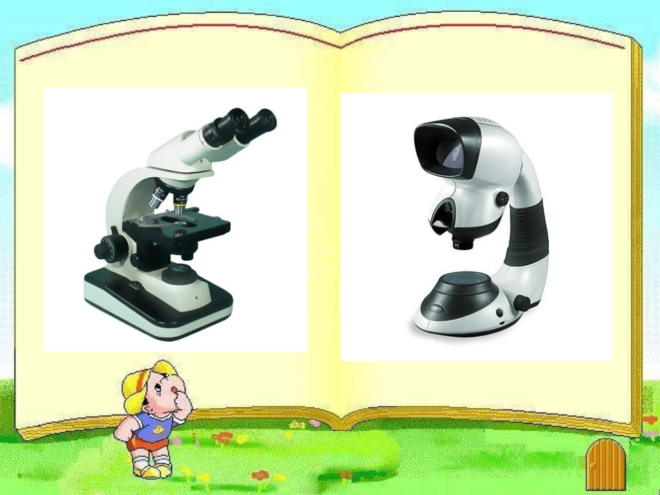 看门人的墨镜_第2页