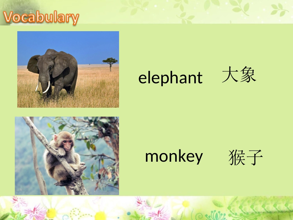 Unit-2-In-the-circus--对动物的描述_第2页