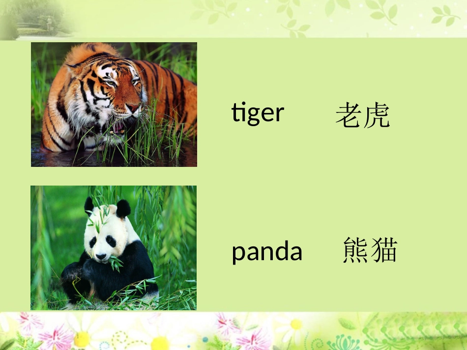 Unit-2-In-the-circus--对动物的描述_第3页