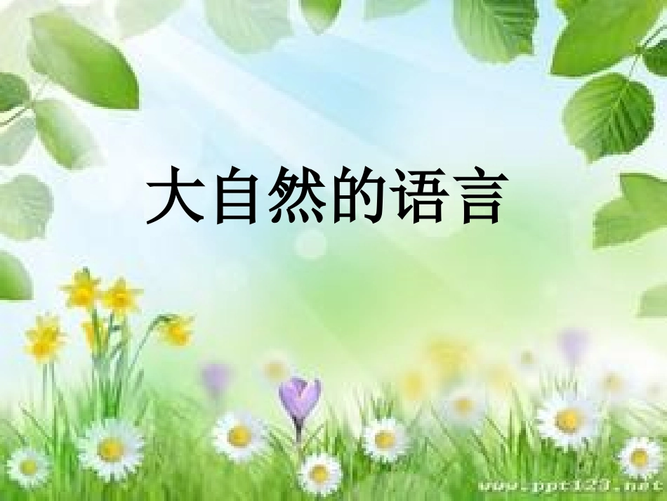 大自然的语言课件_第1页
