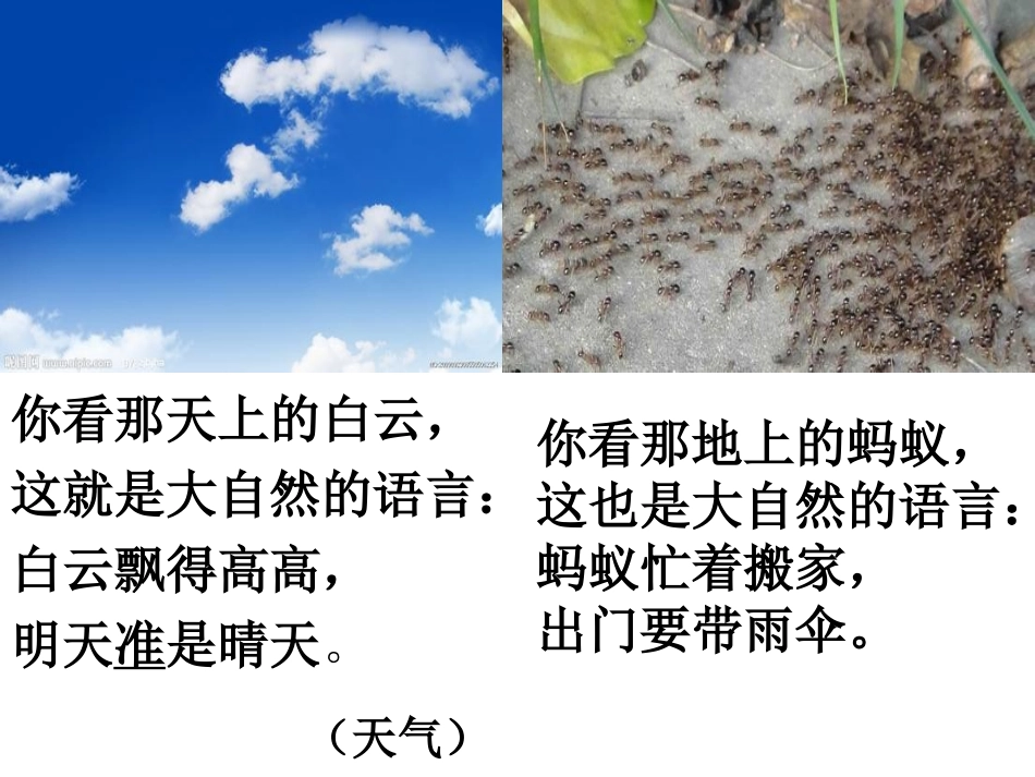 大自然的语言课件_第2页