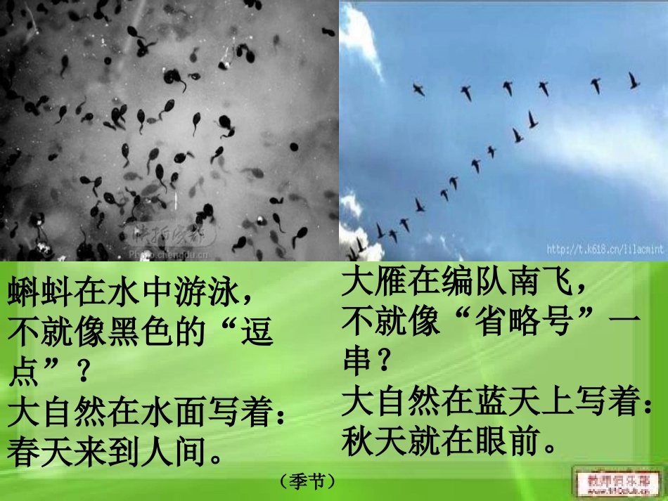 大自然的语言课件_第3页