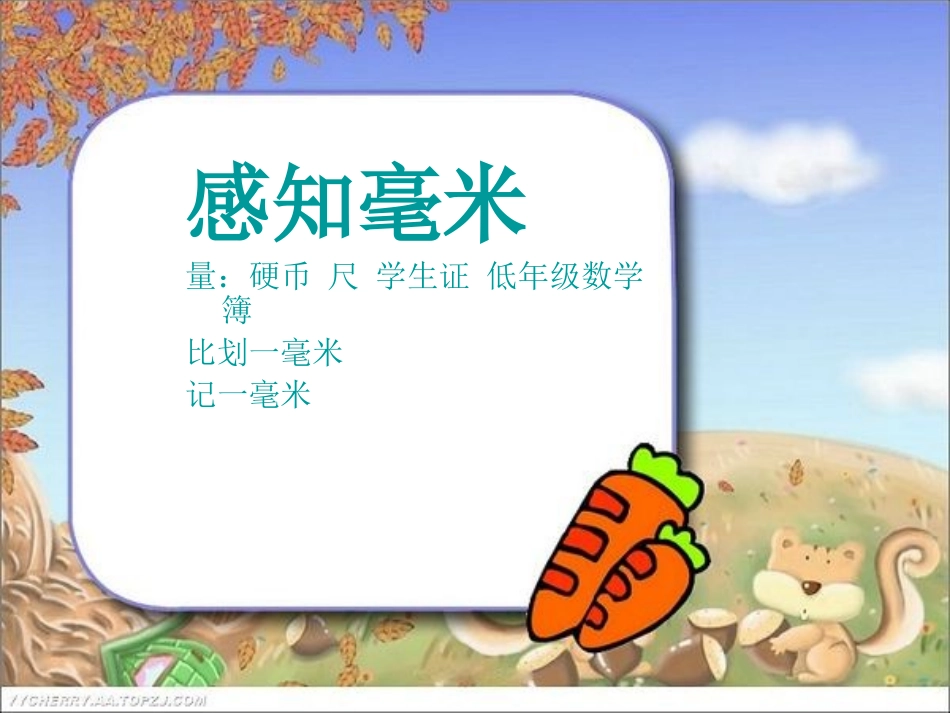 1.1毫米的认识_第3页