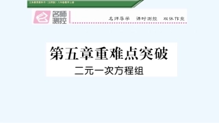 含2016年中考题第五章-二元一次方程组重难点突破练习题及答案