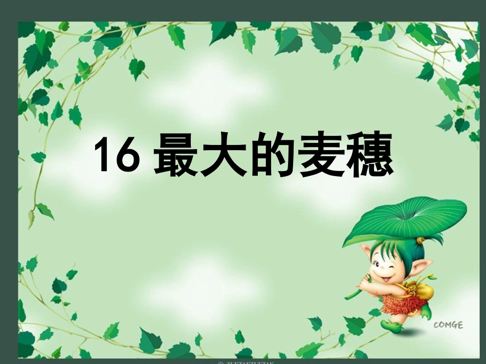 16最大的麦穗_第1页