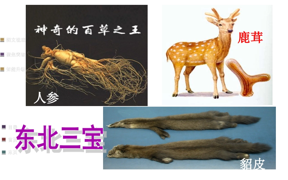 东北地区的地理位置与自然环境shk_第3页