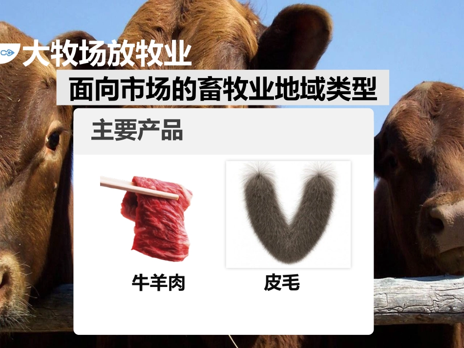 世界主要农业地域类型_第3页