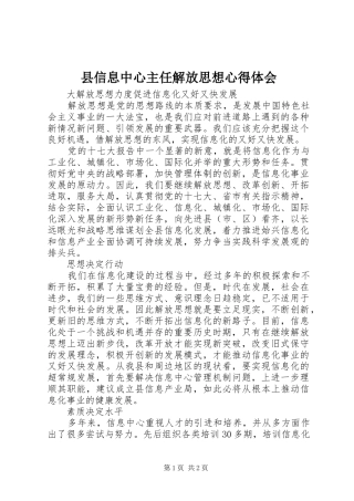 县信息中心主任解放思想心得体会 