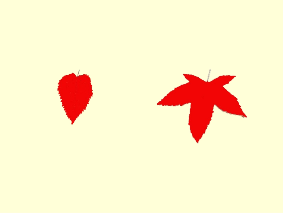 人教2011版小学数学三年级《认识面积》课件：第一课时_第3页