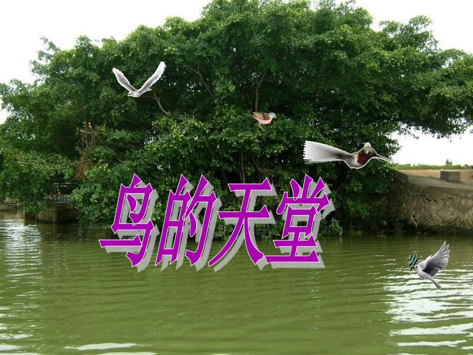 3、鸟的天堂_第1页