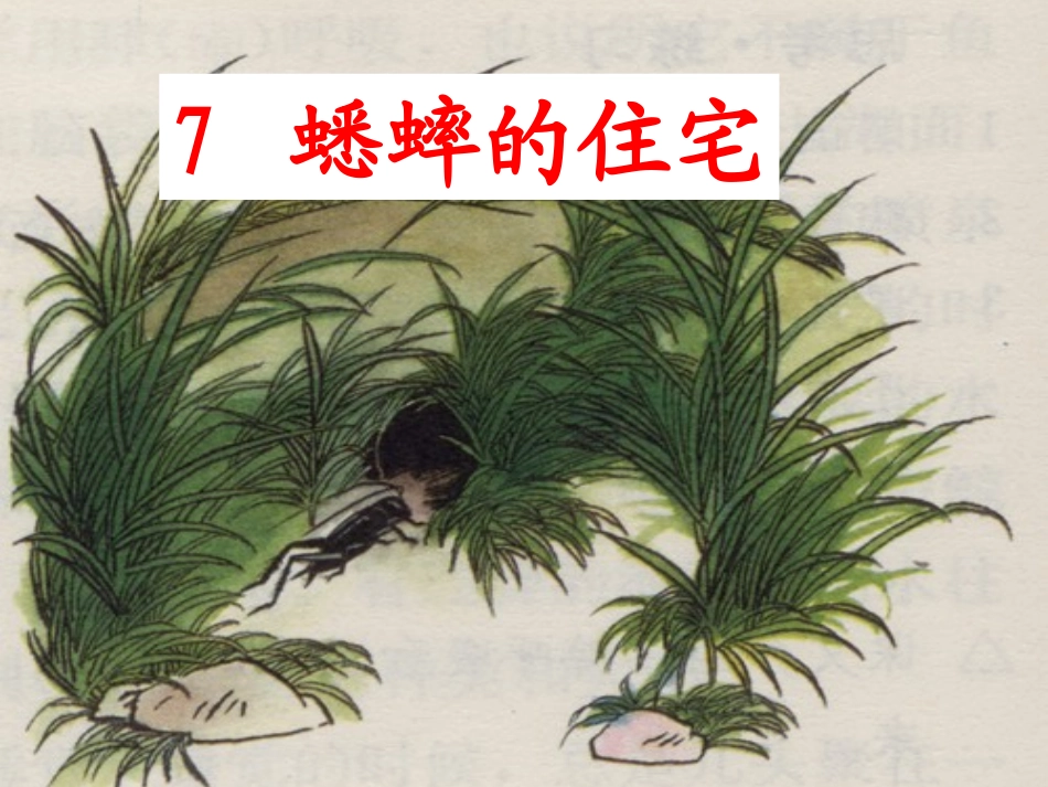 四年级语文上册第二组7.蟋蟀的住宅第一课时课件_第1页