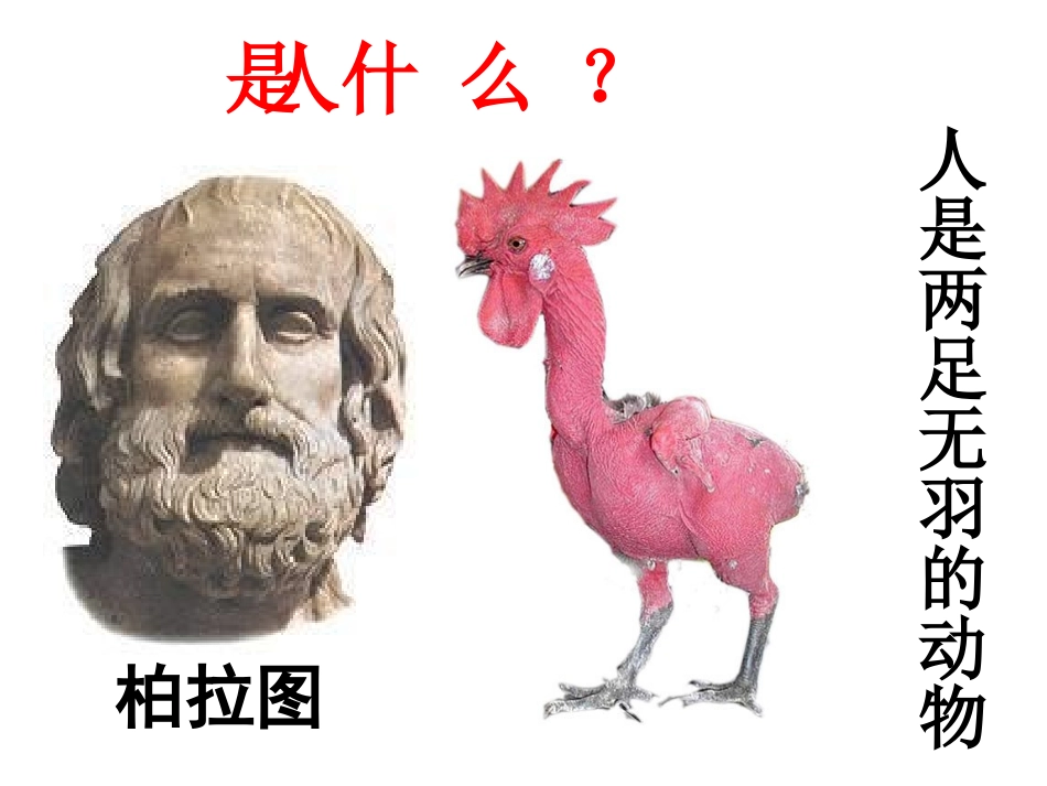 考核课《人是一根能思想的苇草》_第2页