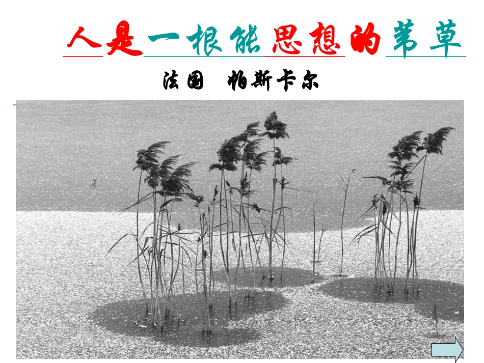 考核课《人是一根能思想的苇草》_第3页