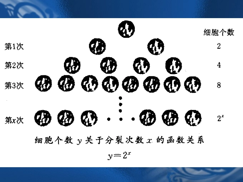 23指数函数)_第2页