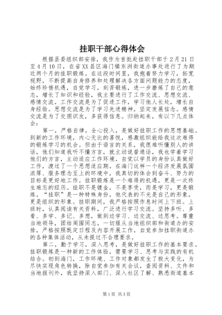 挂职干部心得体会 