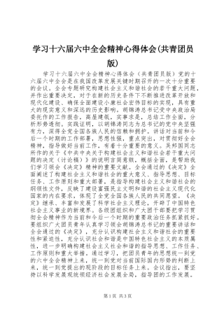 学习十六届六中全会精神心得体会(共青团员版) 