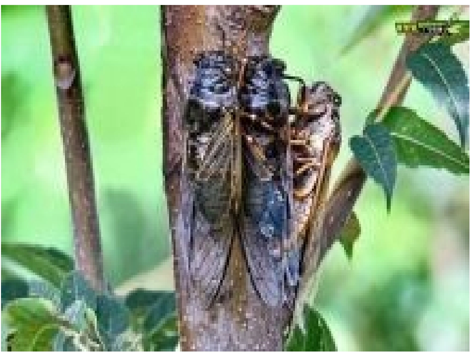 18雷雨课件赛课_第1页