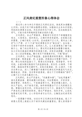 正风肃纪重塑形象心得体会 