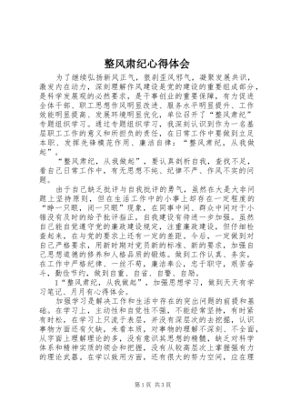 整风肃纪心得体会 