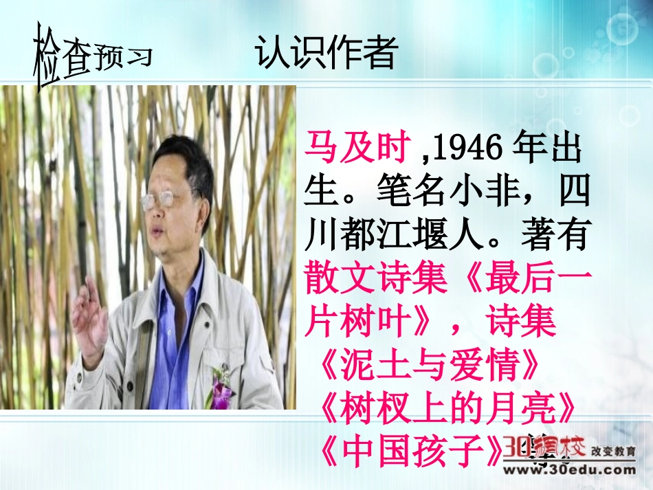 人教版语文七年级上第二单元《王几何》课件_第3页