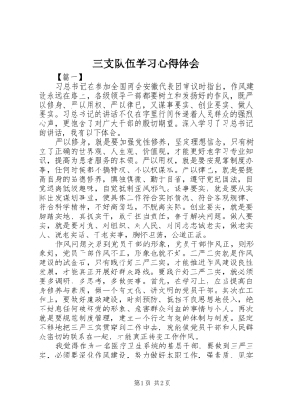 三支队伍学习心得体会 