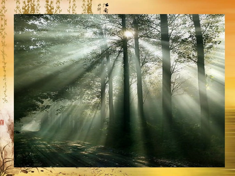 198光的传播_第2页