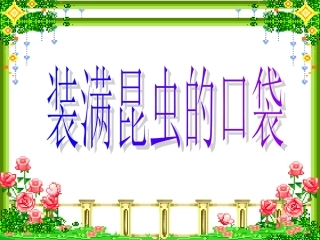 装满昆虫的口袋