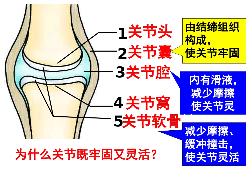 先天性和学习行为_第2页