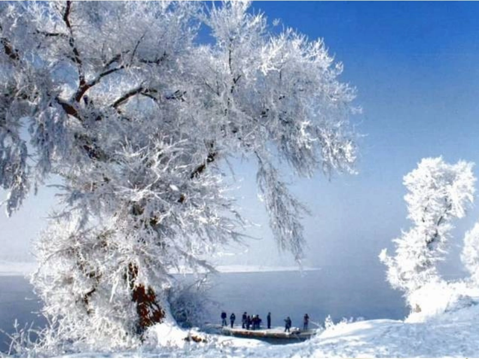 137雾凇课件_第3页