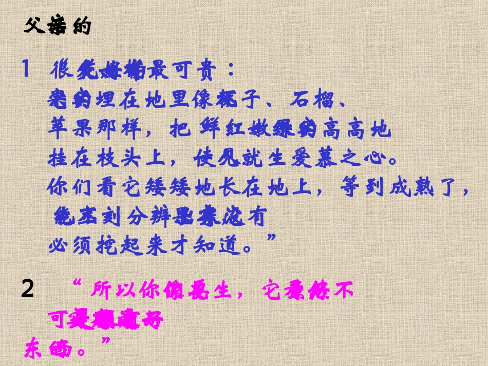 第十五课落花生PPT课件_第3页