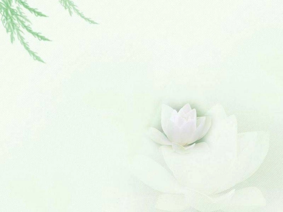 14我要的是葫芦_第1页