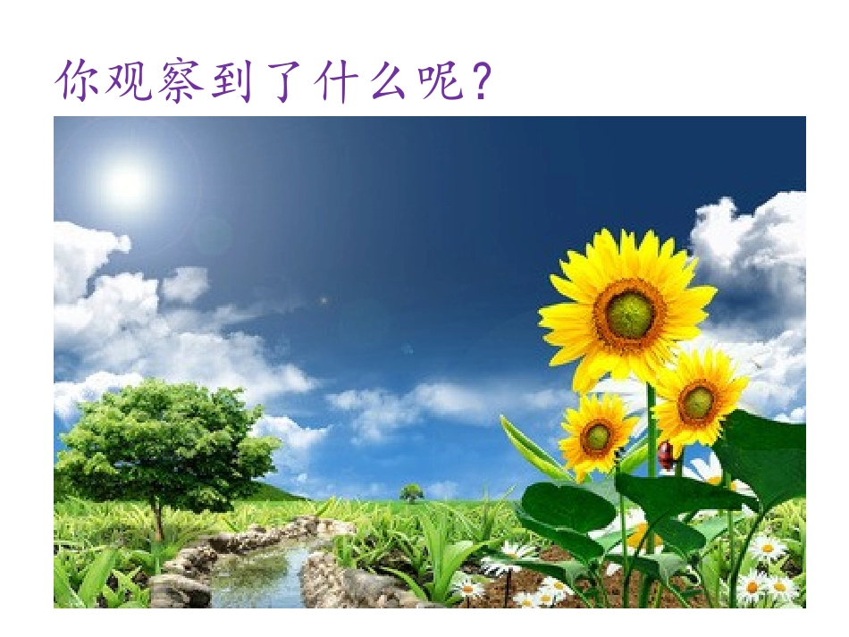 探索自然——第一课时2018.9_第2页