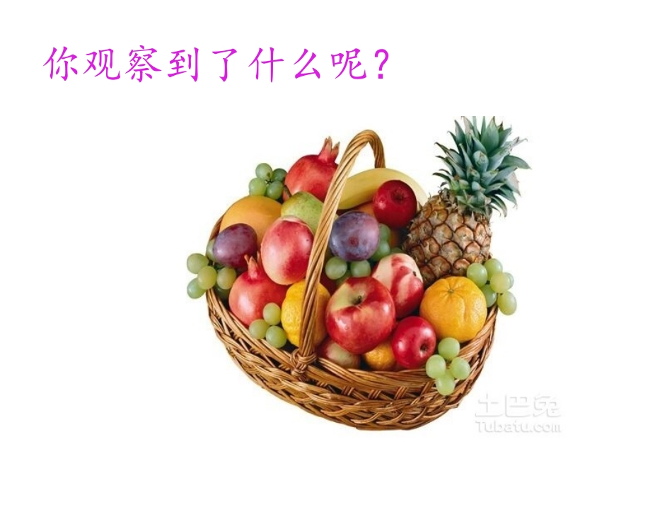 探索自然——第一课时2018.9_第3页