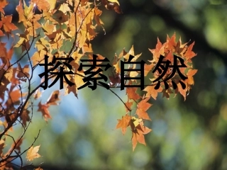 探索自然——第一课时2018.9