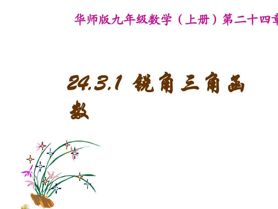 锐角三角函数4_第1页
