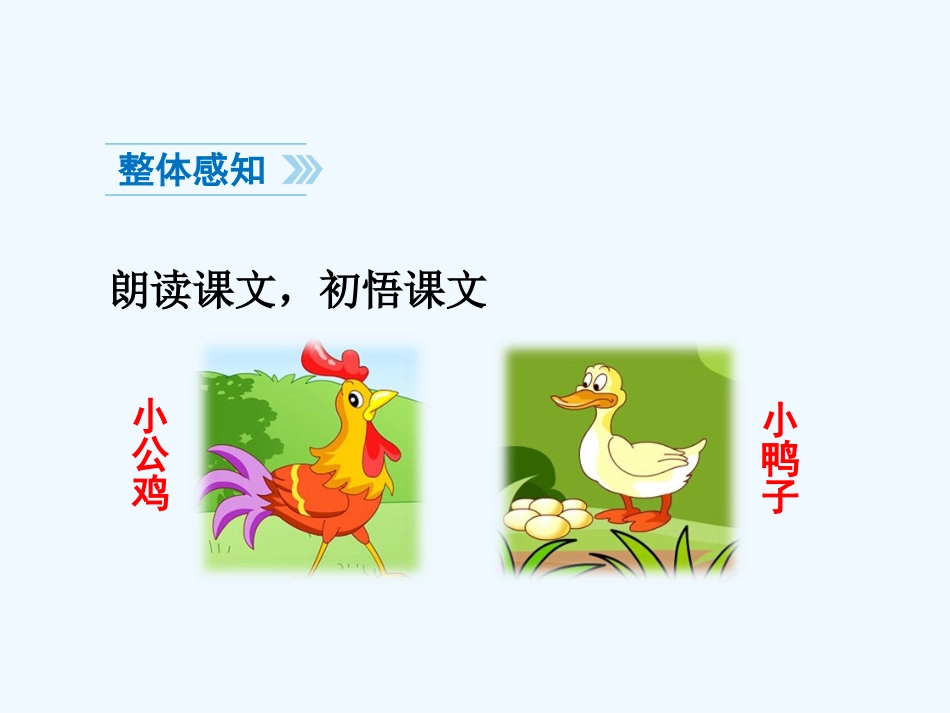 (部编)人教语文2011课标版一年级下册5、小公鸡和小鸭子-(2)_第3页