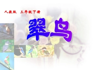 翠鸟第一课时课件