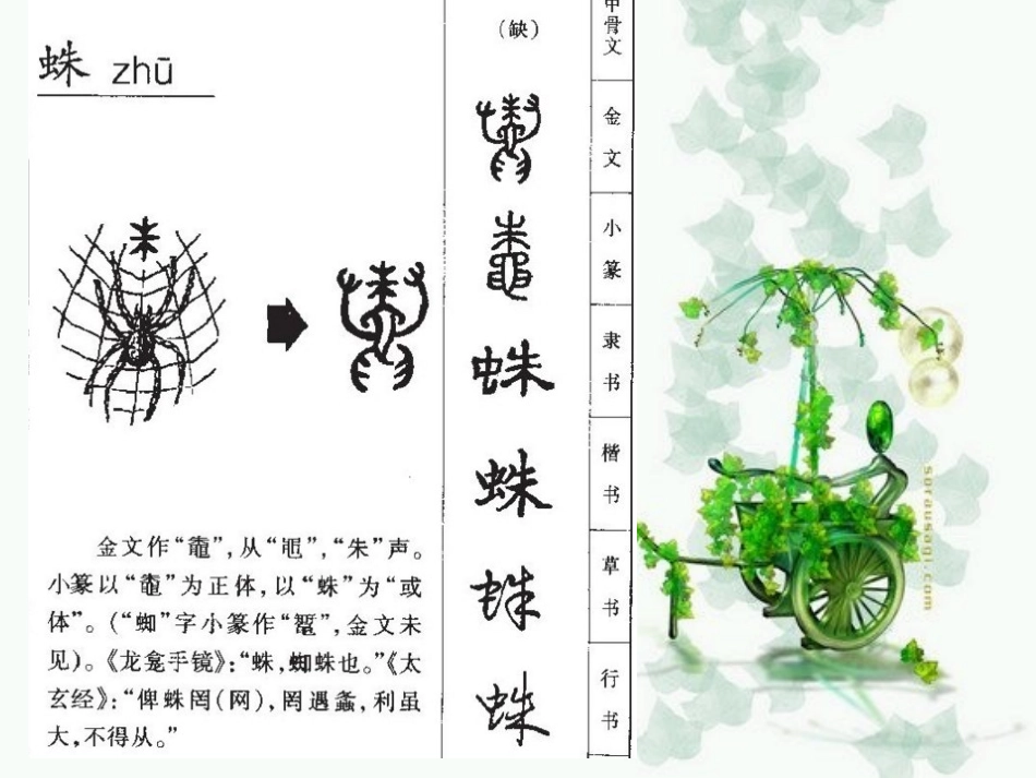 4上1—1《等我也长了胡子》.pptx_第3页