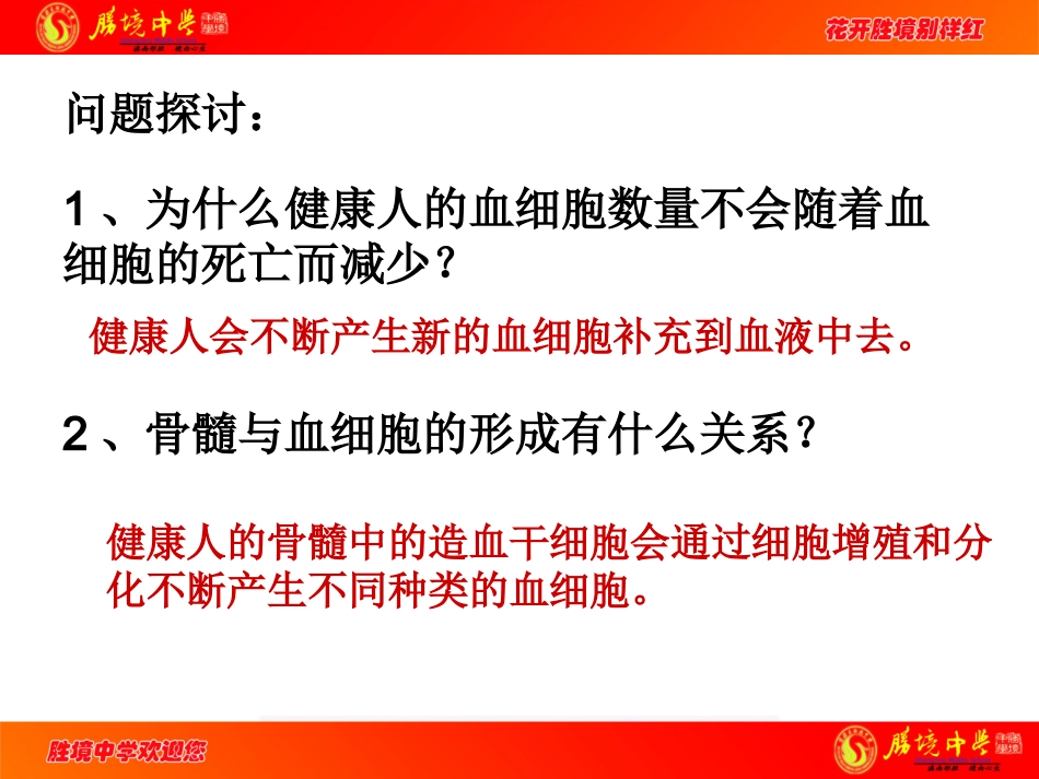 6.2细胞的分化_第3页