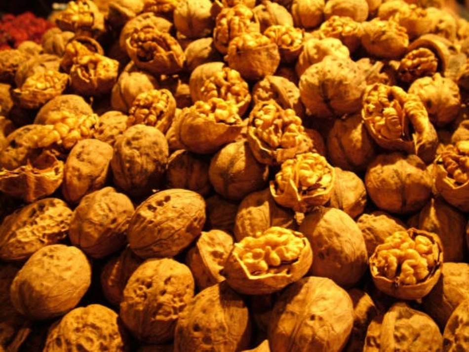 15课汉通西域和丝绸之路_第3页