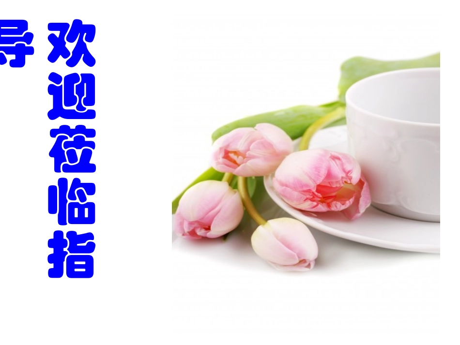 中考作文写作指导—字斟句酌-笔下生辉_第1页