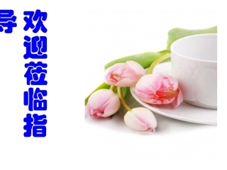 中考作文写作指导—字斟句酌-笔下生辉
