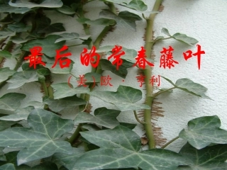 最后的常春藤叶