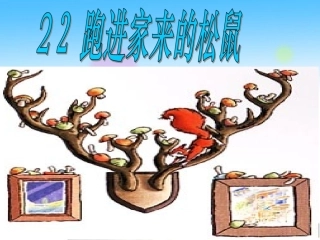 跑进家来的松鼠