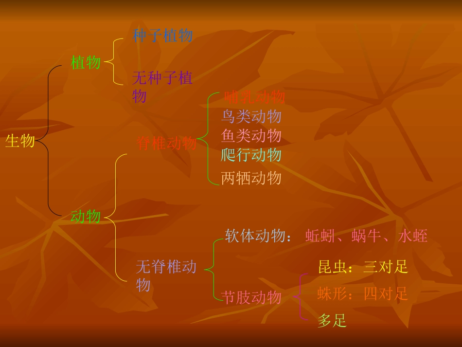 池塘中的植物--导学案_第3页