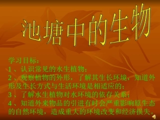 池塘中的植物--导学案